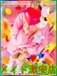�����@�y�c��݂����ȖG�����̎q�z
