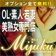 �����s���@�l�ȃf���w���@Mijuku