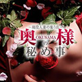 �K�����@�l�ȃf���w���@���l�̔�ߎ� �l���s�E�K���X