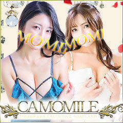 カモミール