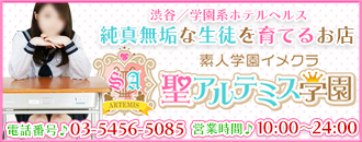 　　聖アルテミス学園