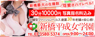 新橋平成女学園