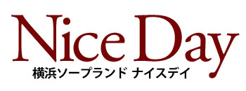 　　ナイスデイ