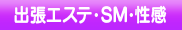 エステ・SM・性感