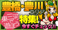 必見！豊橋･豊川デリ特集
