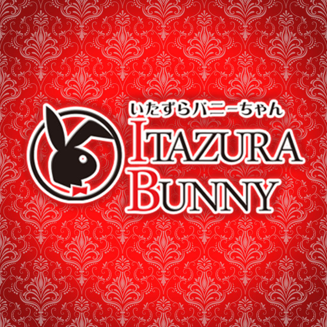 いたずらバニーちゃん