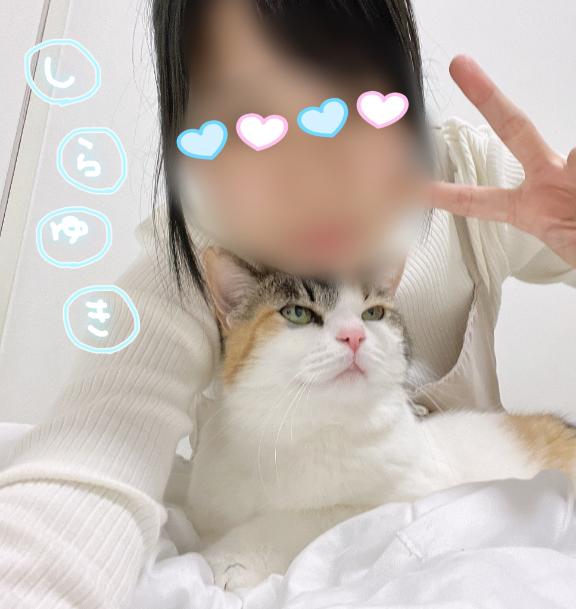 写メ日記サムネイル