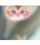 13時から♡