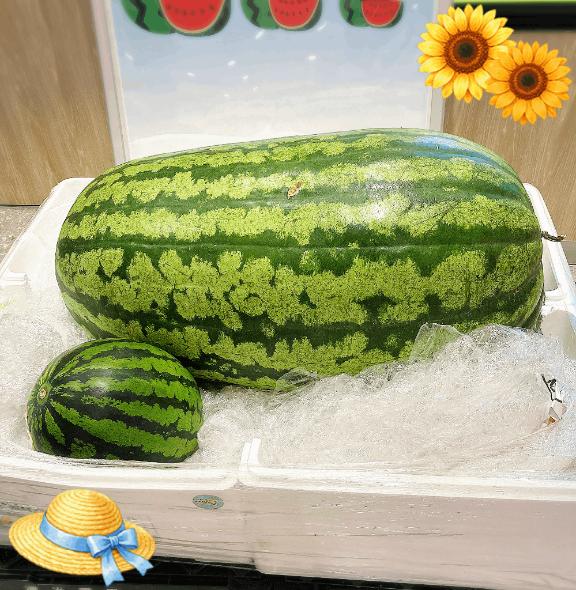 🍉❣️