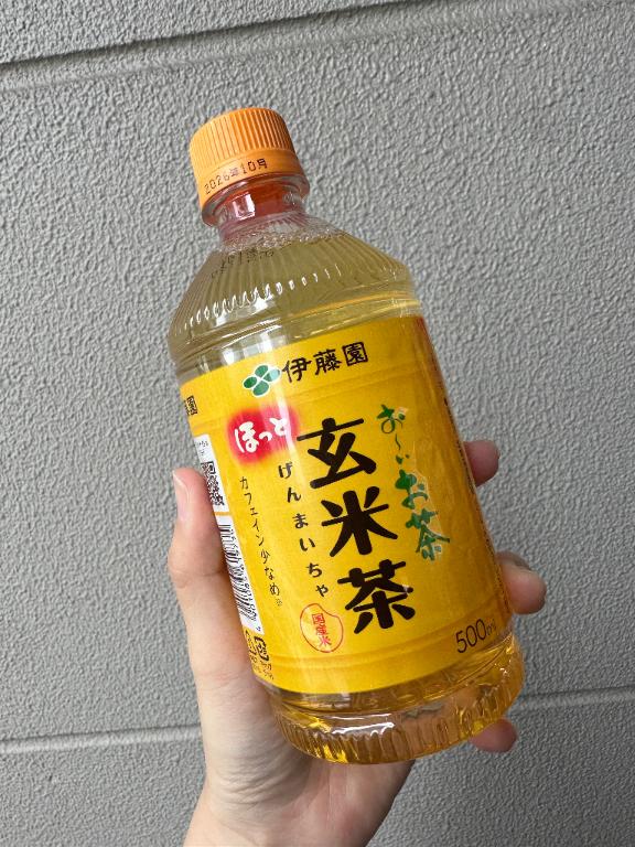 出勤！