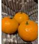 🍊みかん🍊
