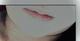 ムシムシ