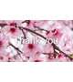 Thank you★
