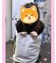 今日も