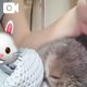 朝から❣️