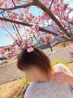 稲葉　ひかる