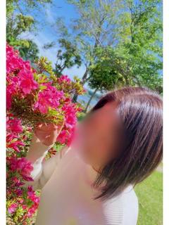 葉月　海羽