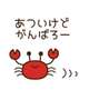 来週も…