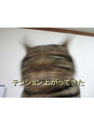 18時まで♡