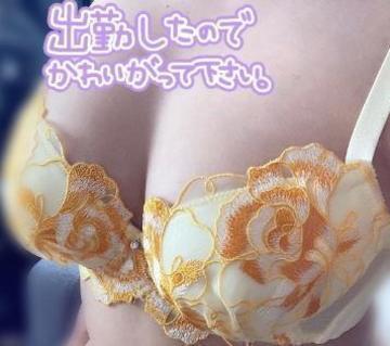受付終了しました