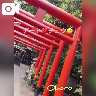 写メ日記サムネイル
