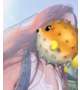 8484〜🌞