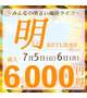 2日間限定🕊️🎀