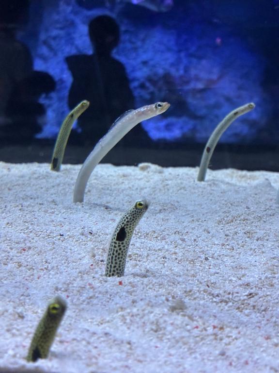 おはようございます☔️