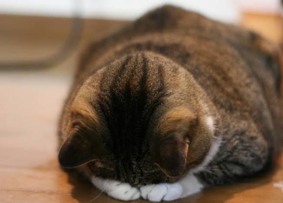出勤日変更のお知らせです⋆͛📢⋆