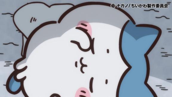 おはようございます☀️