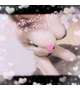 Thanks♡