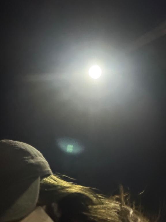 お疲れ様です🌙
