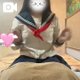 えらいねฅ^_  ̫ _^