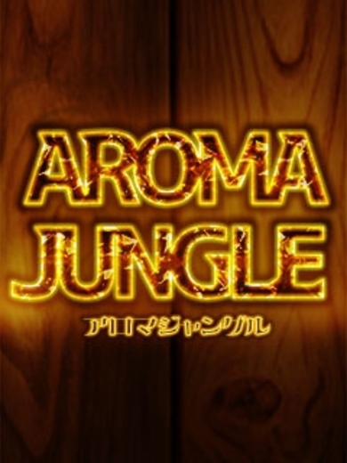 aroma ace. -アロマ エース-（エースグループ） (上门)色情按摩/回春 服务 MIKO