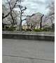 近くの公園で🌸