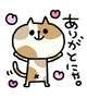 おはようございます(*´∀`*)