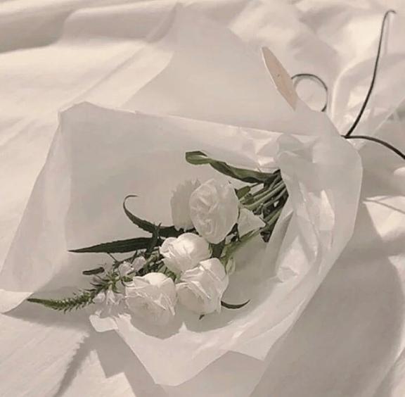アラジンのお客様♡