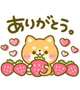 Mさん♡