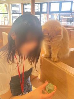 おと　先生