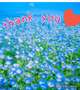 お礼🥰5月5日