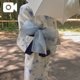 ミスヘブンへの意気込み