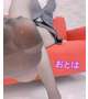 どんなことしちゃう？