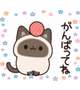 おはようございます。
