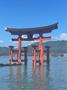 出勤してます