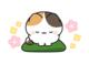明日 出勤します　(*^^*)♪