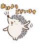 おはよん