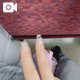 またね&私からの大切なお願い
