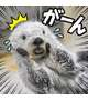 ごめんねええ｡ﾟ(ﾟ´ω`ﾟ)ﾟ｡