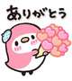 30日のお兄様