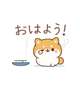 (*^o^*)